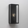 Kép 1/5 - Astro Messina 1183001 fürdőszoba fali lámpa fekete átlátszó fém